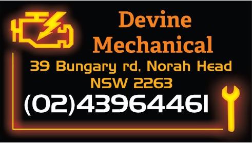 devine logo1